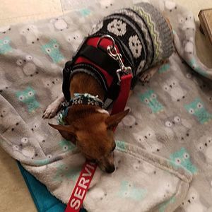 Meet your Posher, Krystal